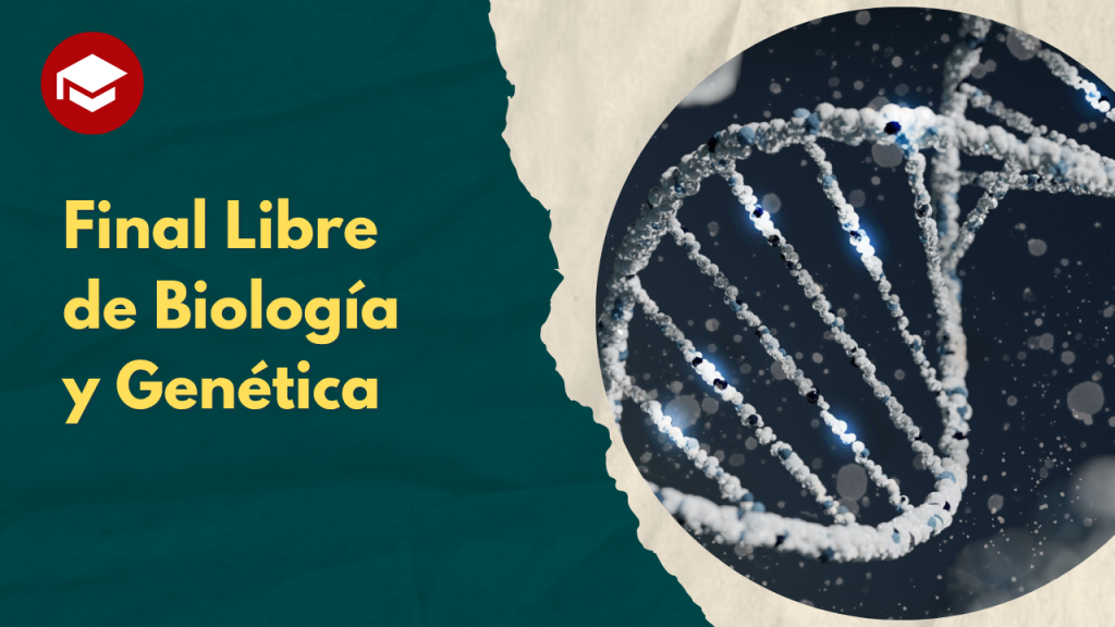 Incluye contenido completo para el Libre de HyE (2)