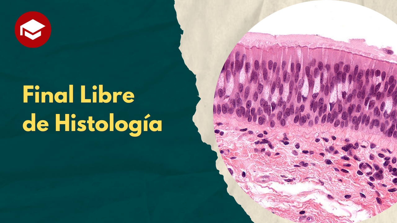 Lee más sobre el artículo Libre de Histología – #10