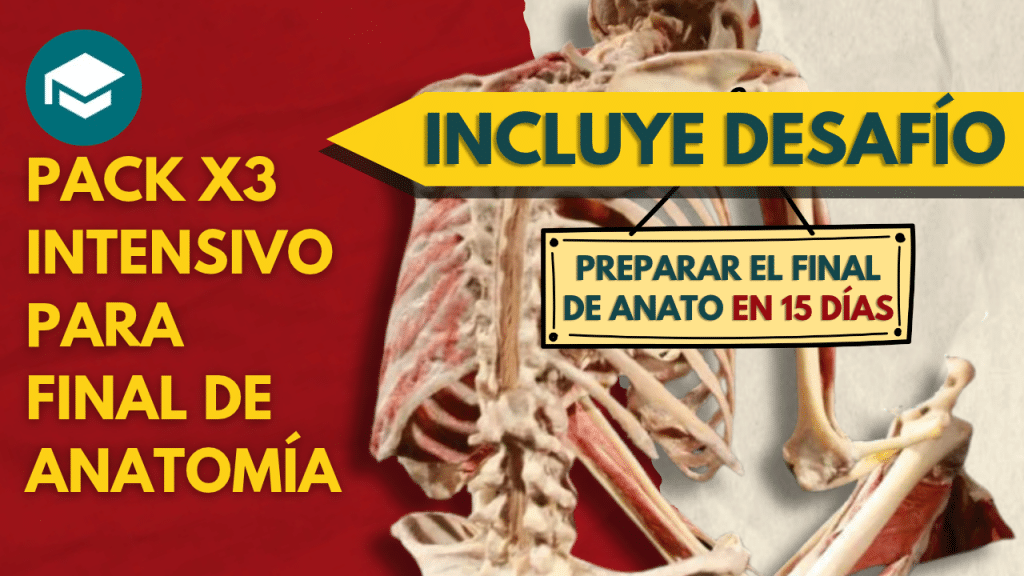 PACK-X3-INT-FINAL-ANATO