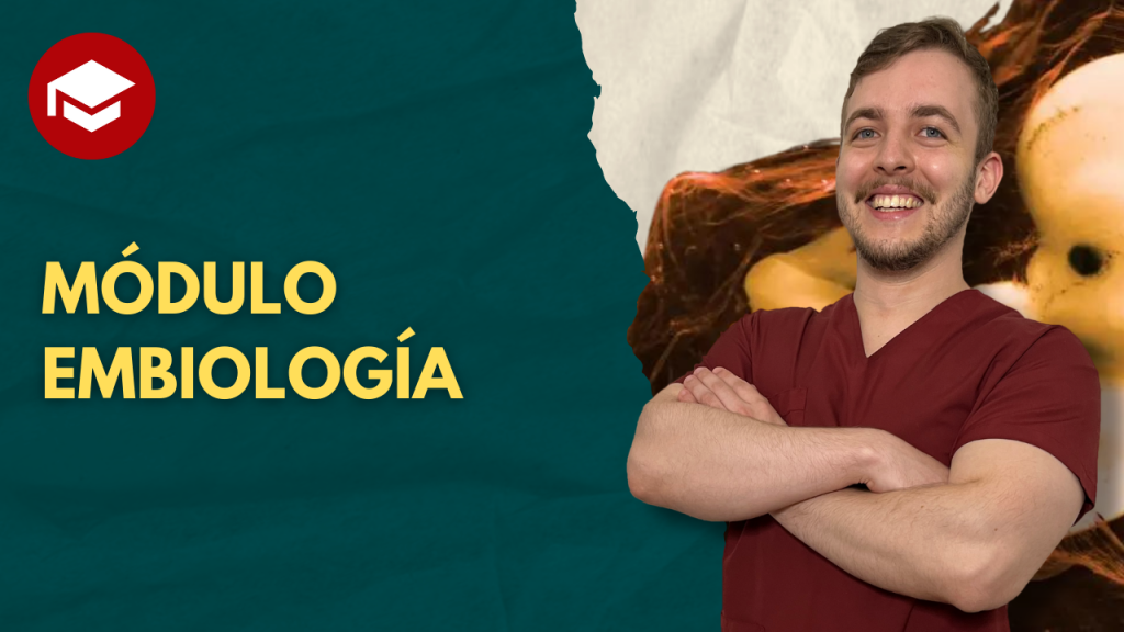 MODULO EMBRIOLOGIA