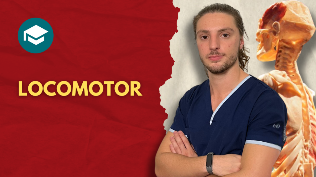 modulo locomotor