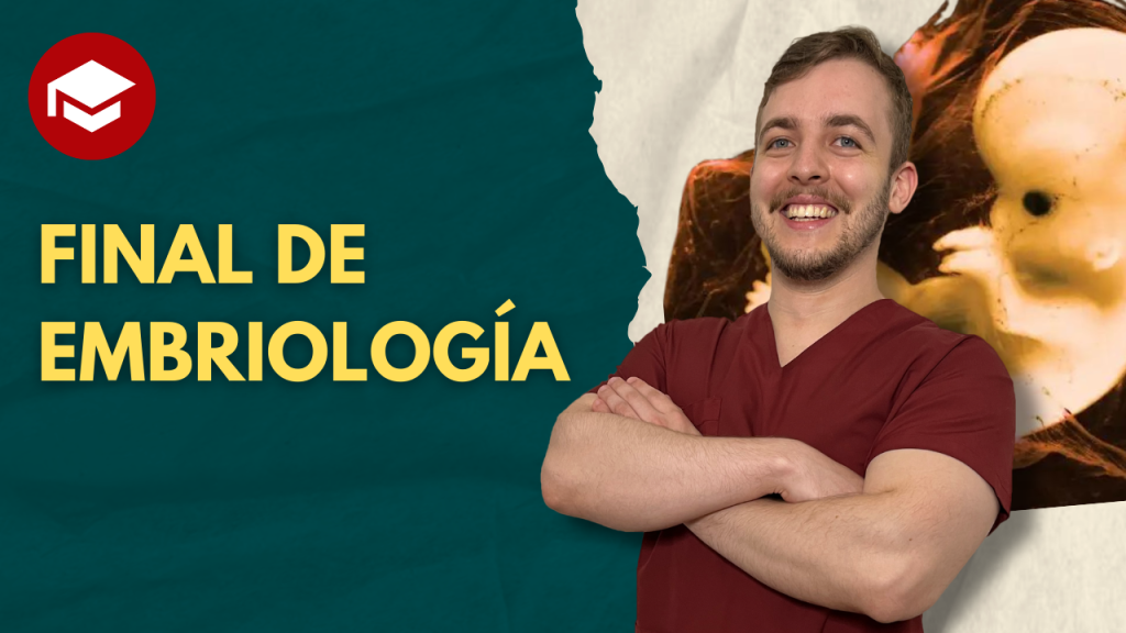 embriologia