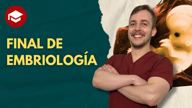 embriologia