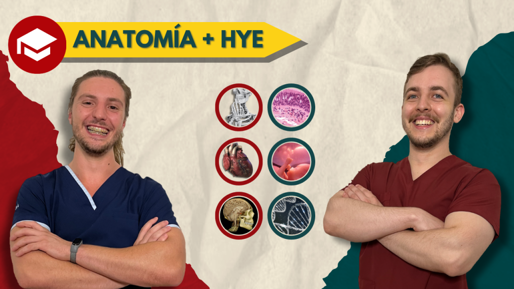 lanzamiento anuall 2 (1)