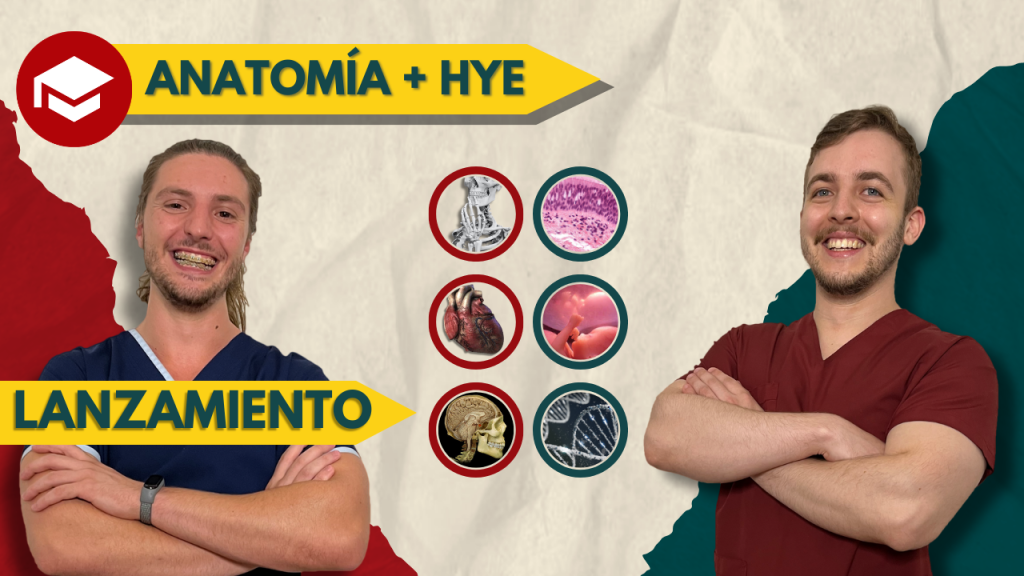 lanzamiento anuall 2