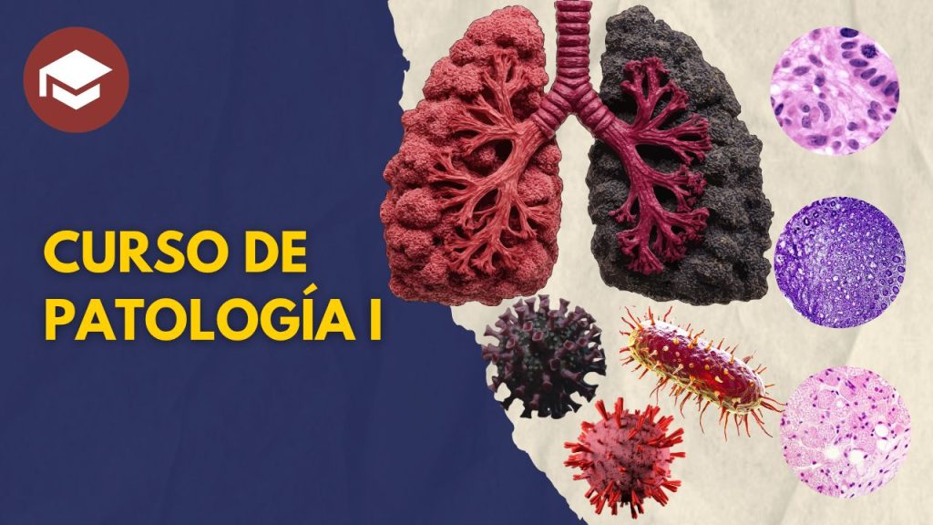Curso_patología_1