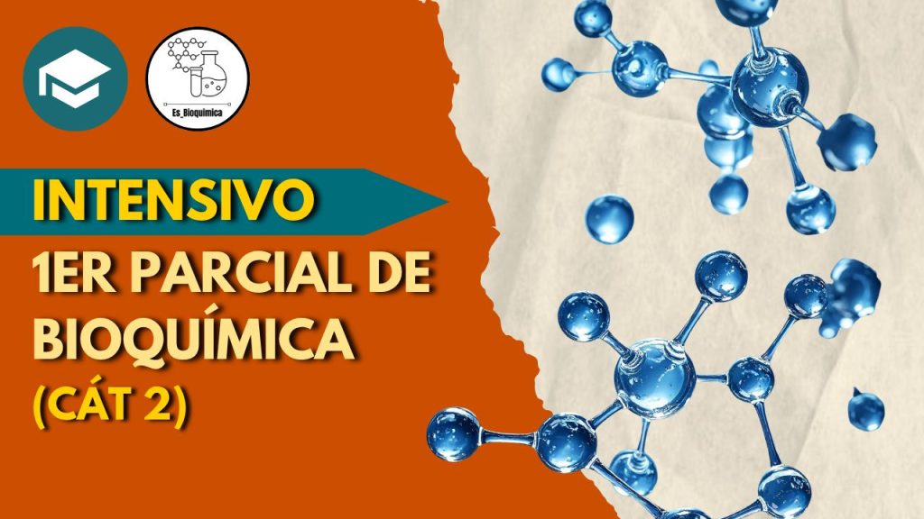 Int_1er_parcial_bioqui