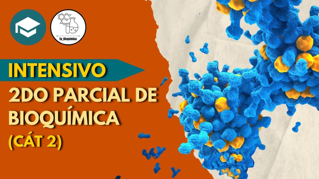 Int_2do_parcial_bioqui