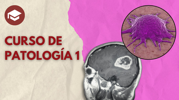 curso-pato