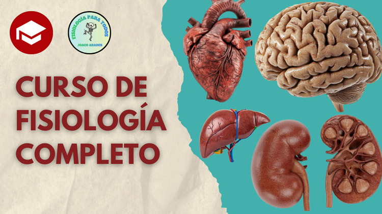 fisio-completo
