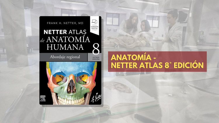 libros-ANATO-ATLAS-NETTER