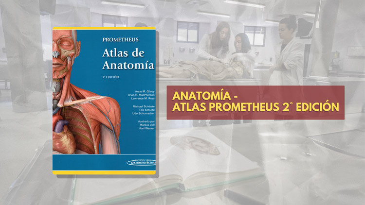 libros-ANATO-ATLAS-PROMETHEUS