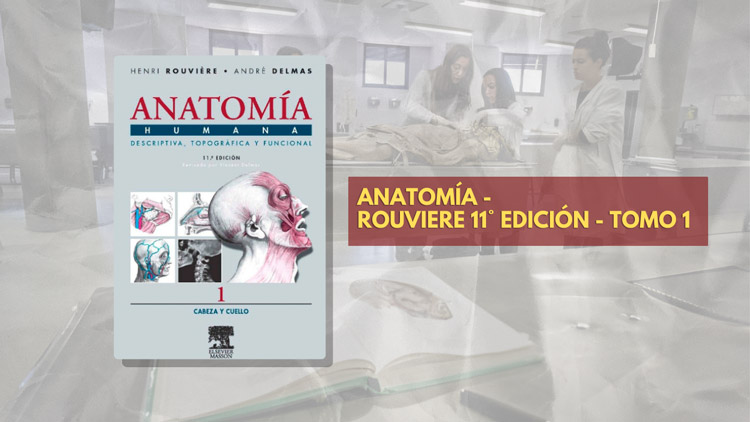 libros-ANATO-ROUVIERE-11ED-TOMO-1-1