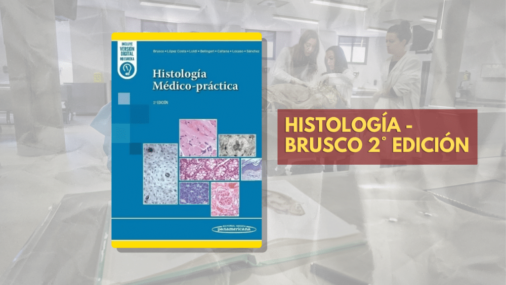 libros HISTO BRUSCO
