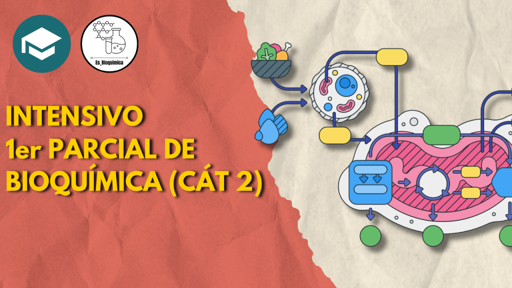 curso intensivo bioqui
