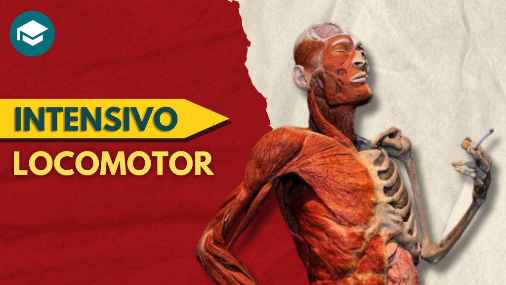 intensivo locomotor
