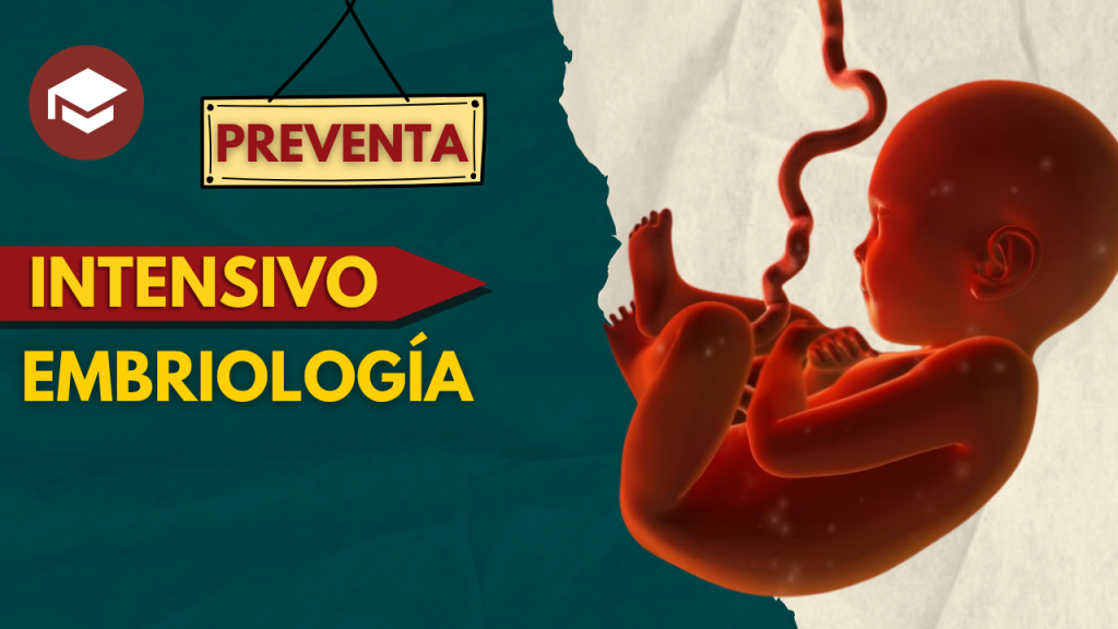 INTENSIVO EMBRIO (1)