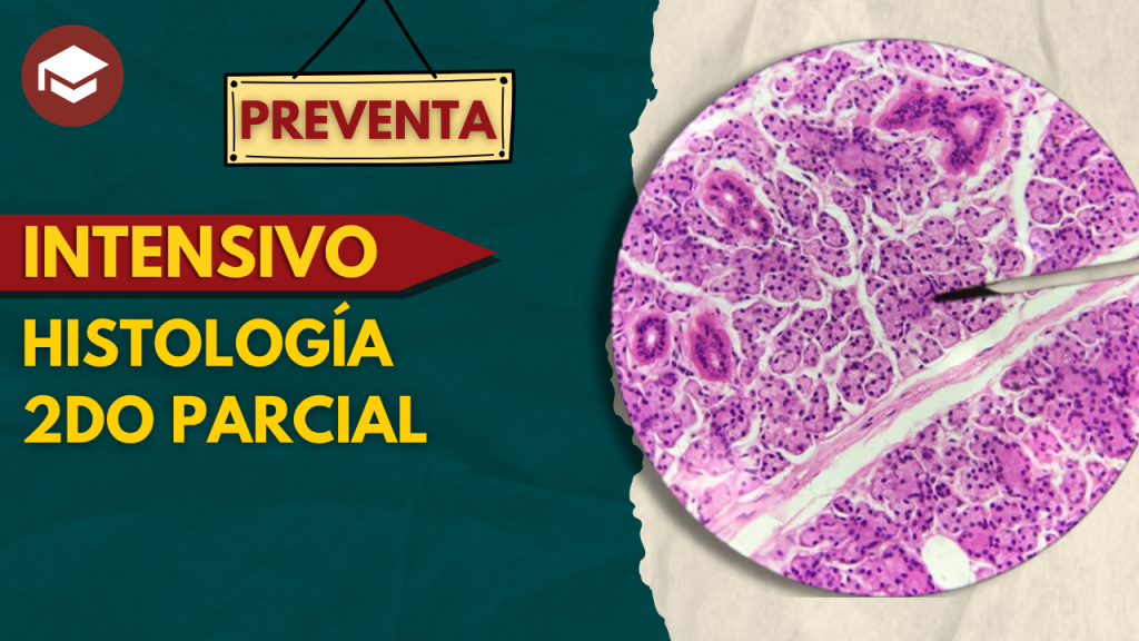 INTENSIVO HISTO (1)
