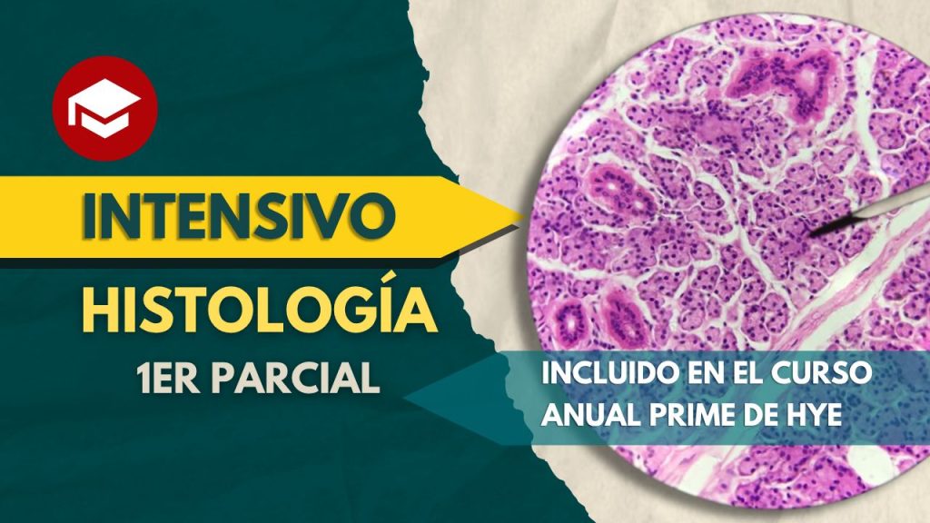 Intensivo_Histo