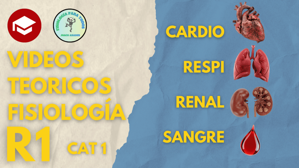 Videos teoricos R1 (cat1)