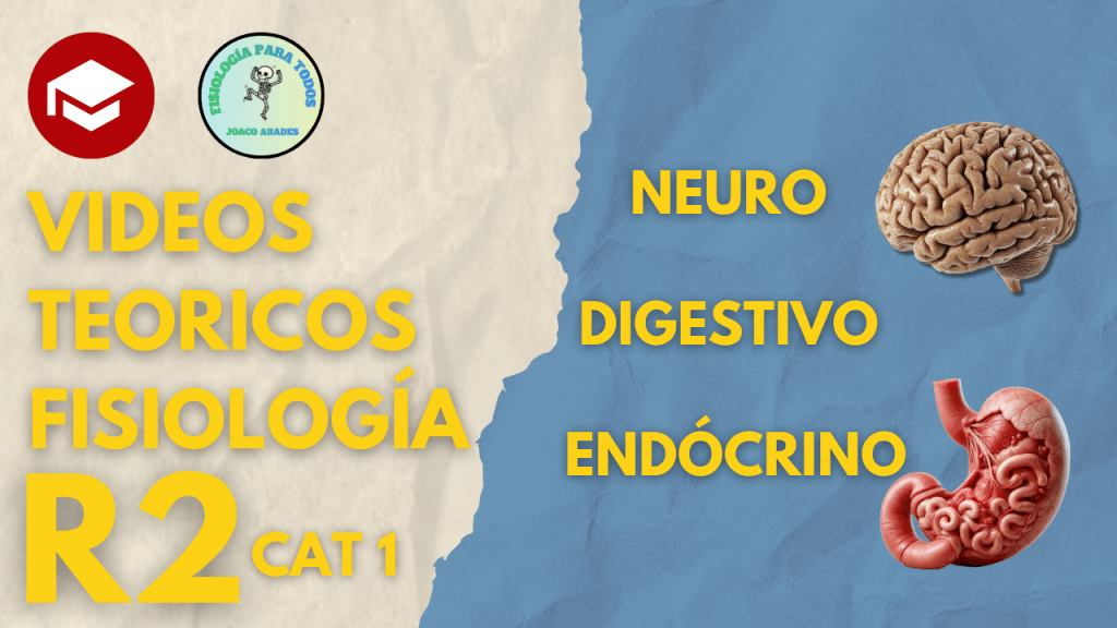 Videos teoricos R2 (cat1)
