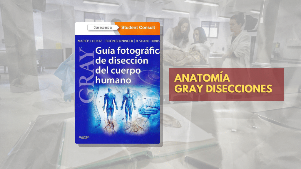 ANATOMÍA GRAY DISECCIONES
