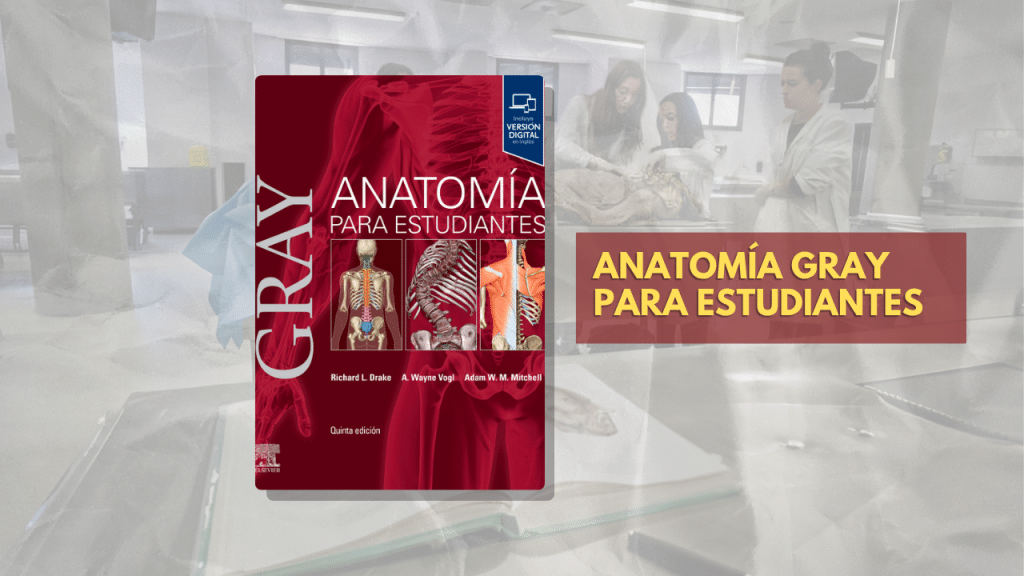 ANATOMÍA GRAY PARA ESTUDIANTES