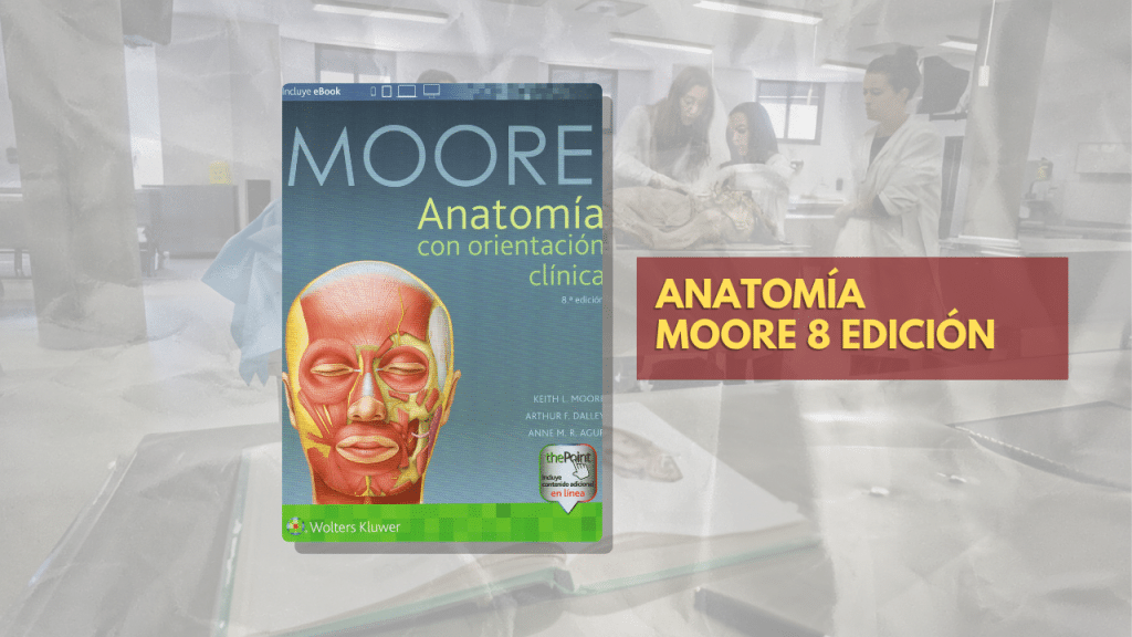 ANATOMÍA MOORE 8 EDICIÓN