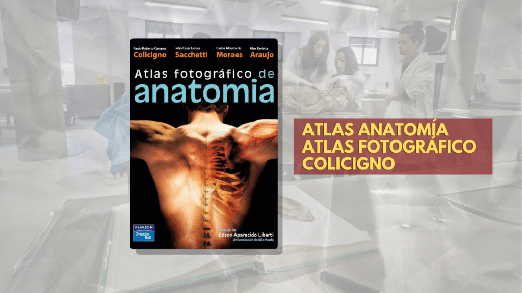 ATLAS ANATOMÍA ATLAS FOTOGRÁFICO COLICIGNO