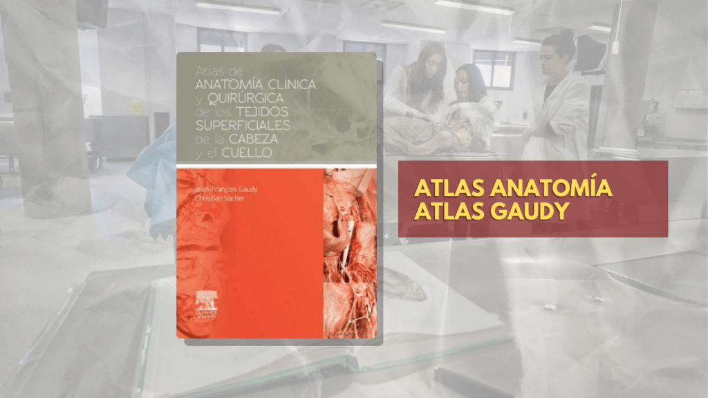 ATLAS ANATOMÍA ATLAS GAUDY
