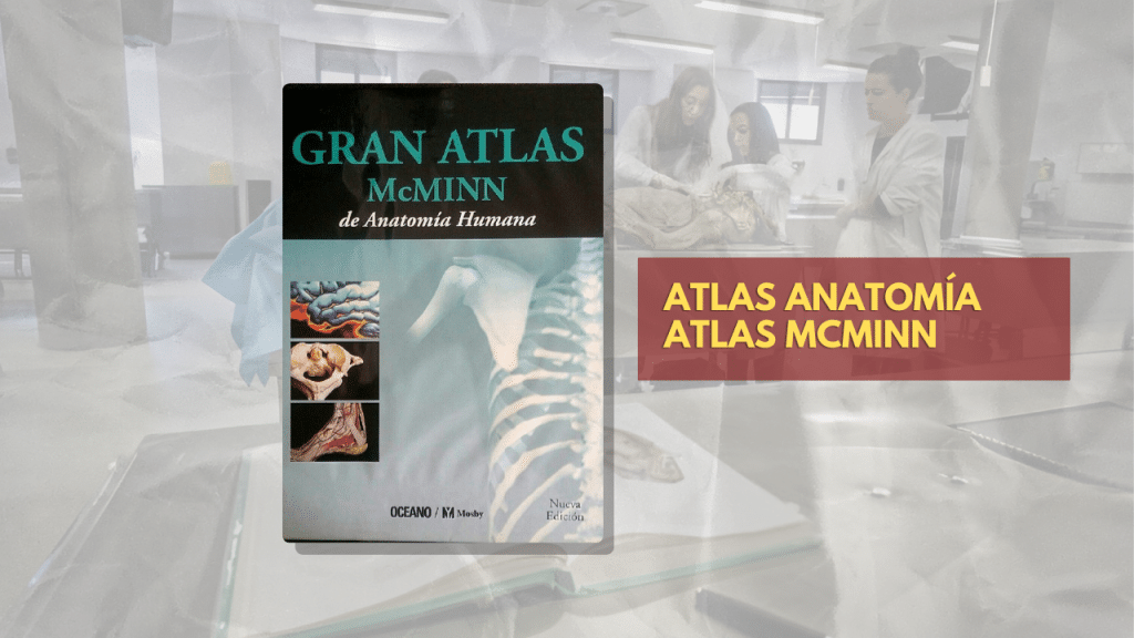 ATLAS ANATOMÍA ATLAS MCMINN