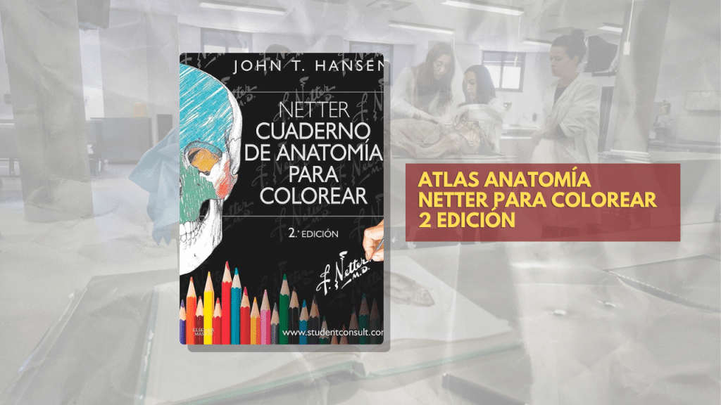 ATLAS ANATOMÍA NETTER A COLOREAR 2 EDICIÓN
