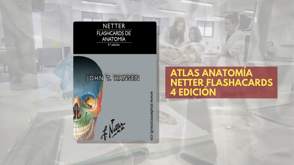 ATLAS ANATOMÍA NETTER FLASHACARDS 4 EDICIÓN