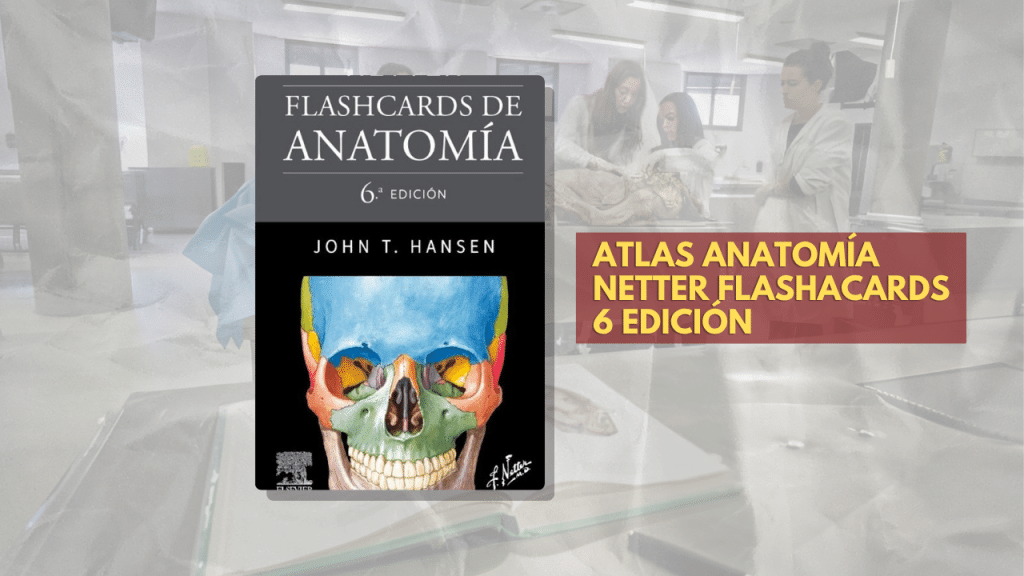 ATLAS ANATOMÍA NETTER FLASHACARDS 6 EDICIÓN