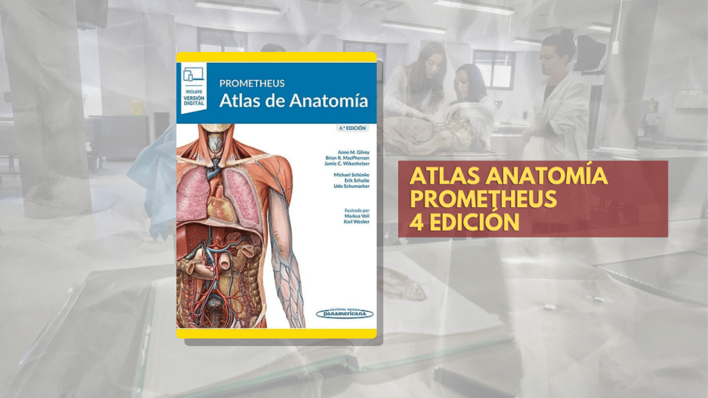 ATLAS ANATOMÍA PROMETHEUS 4 EDICIÓN