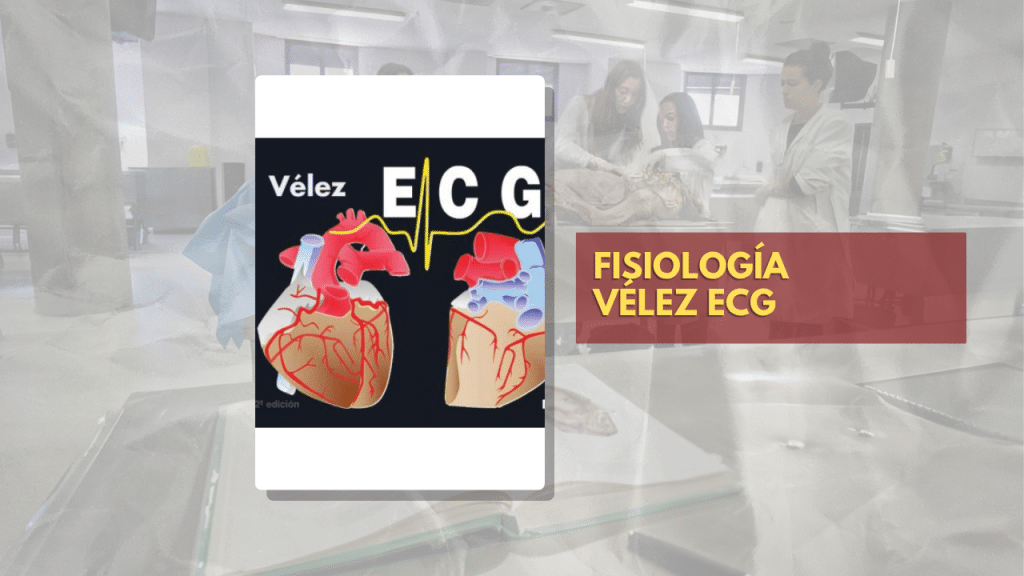FISIOLOGÍA VÉLEZ ECG