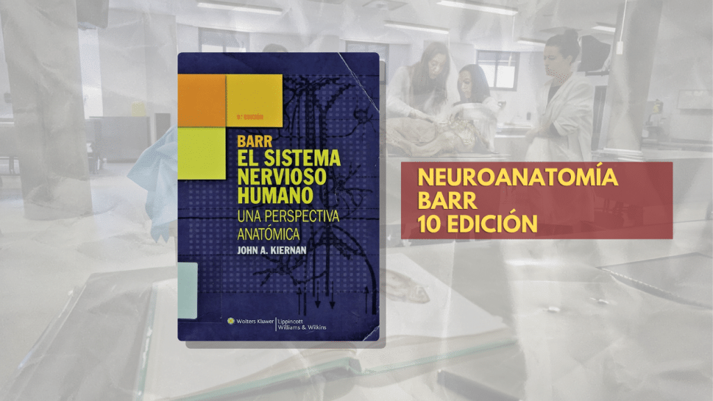 NEUROANATOMÍA BARR 10 EDICIÓN