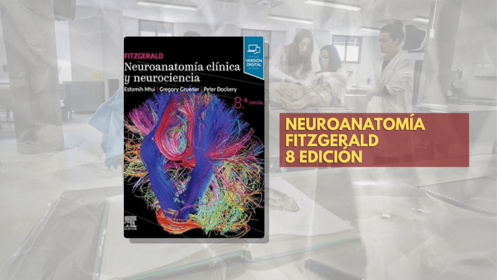 NEUROANATOMÍA FITZGERALD 8 EDICIÓN
