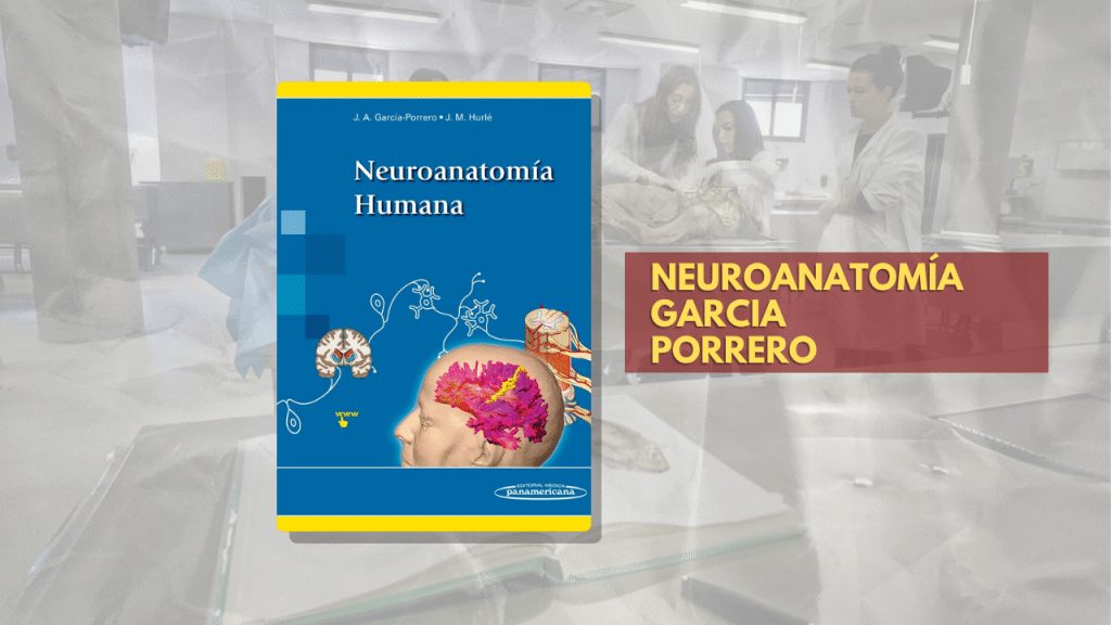 NEUROANATOMÍA GARCIA PORRERO