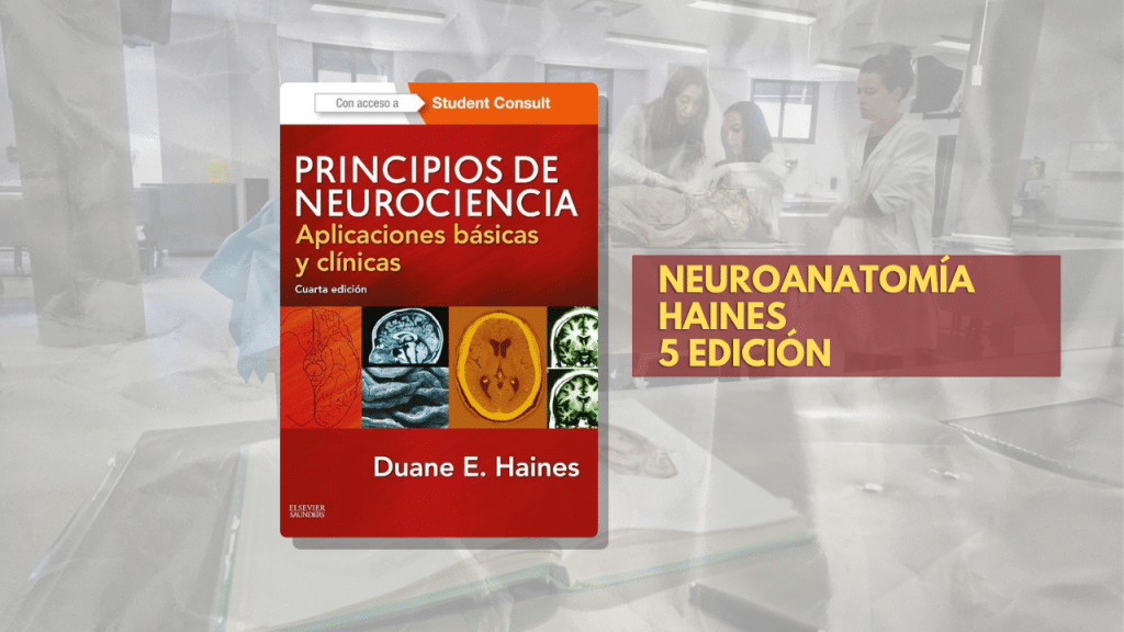 NEUROANATOMÍA HAINES 5 EDICIÓN