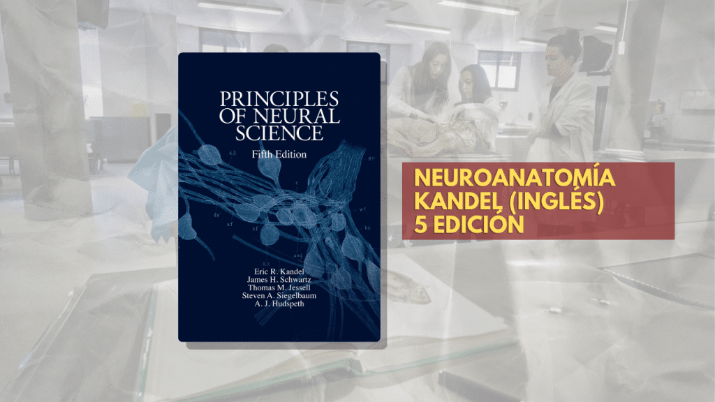 NEUROANATOMÍA KANDEL (INGLÉS) 5 EDICIÓN