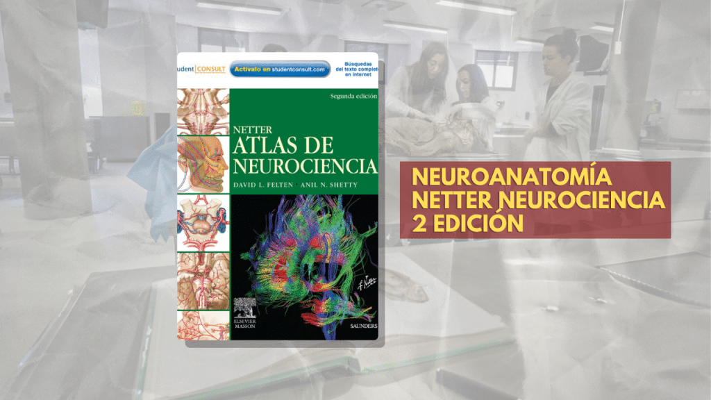 NEUROANATOMÍA NETTER NEUROCIENCIA 2 EDICIÓN
