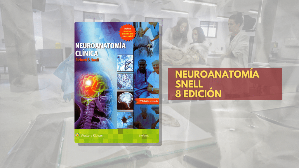 NEUROANATOMÍA SNELL 8 EDICIÓN