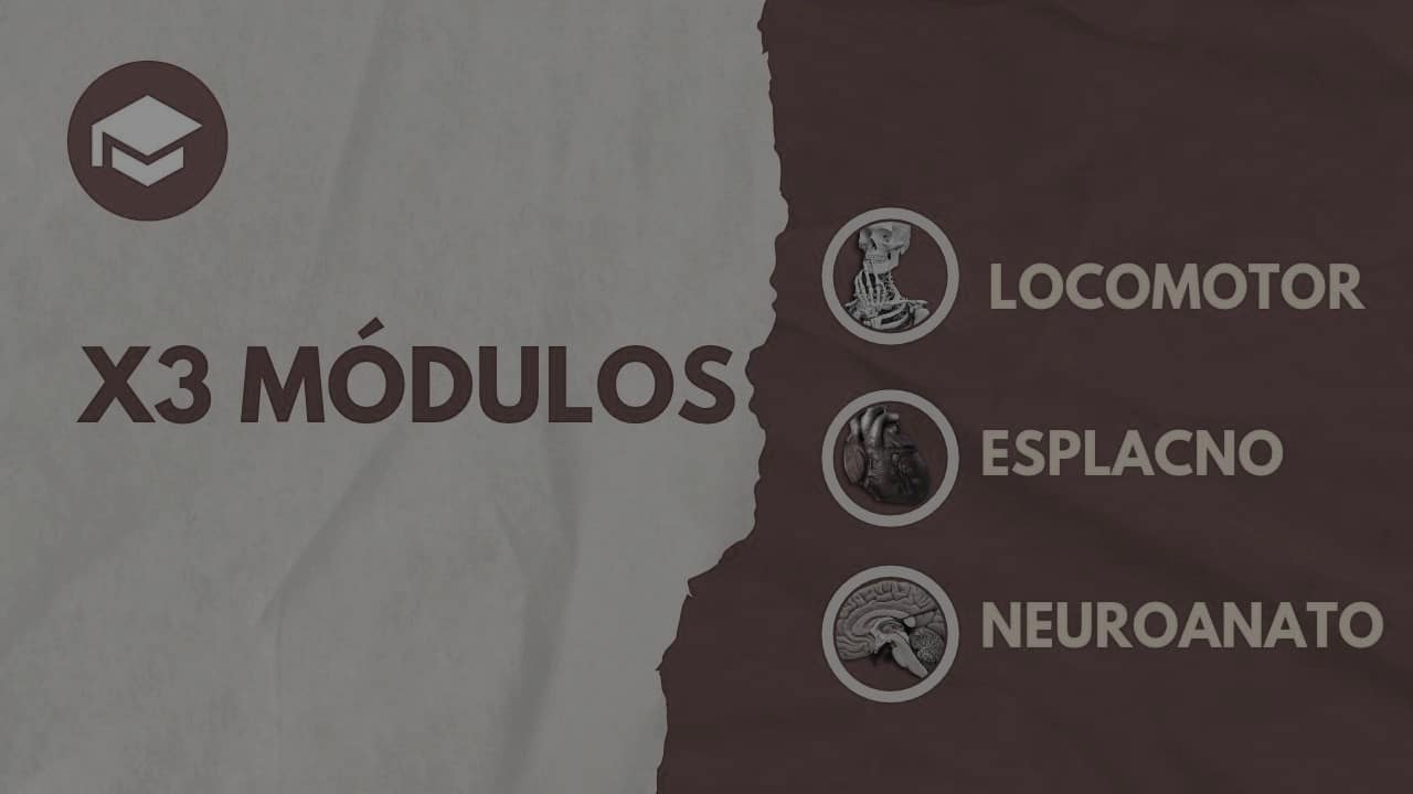 CURSOS/PRODUCTOS - 11