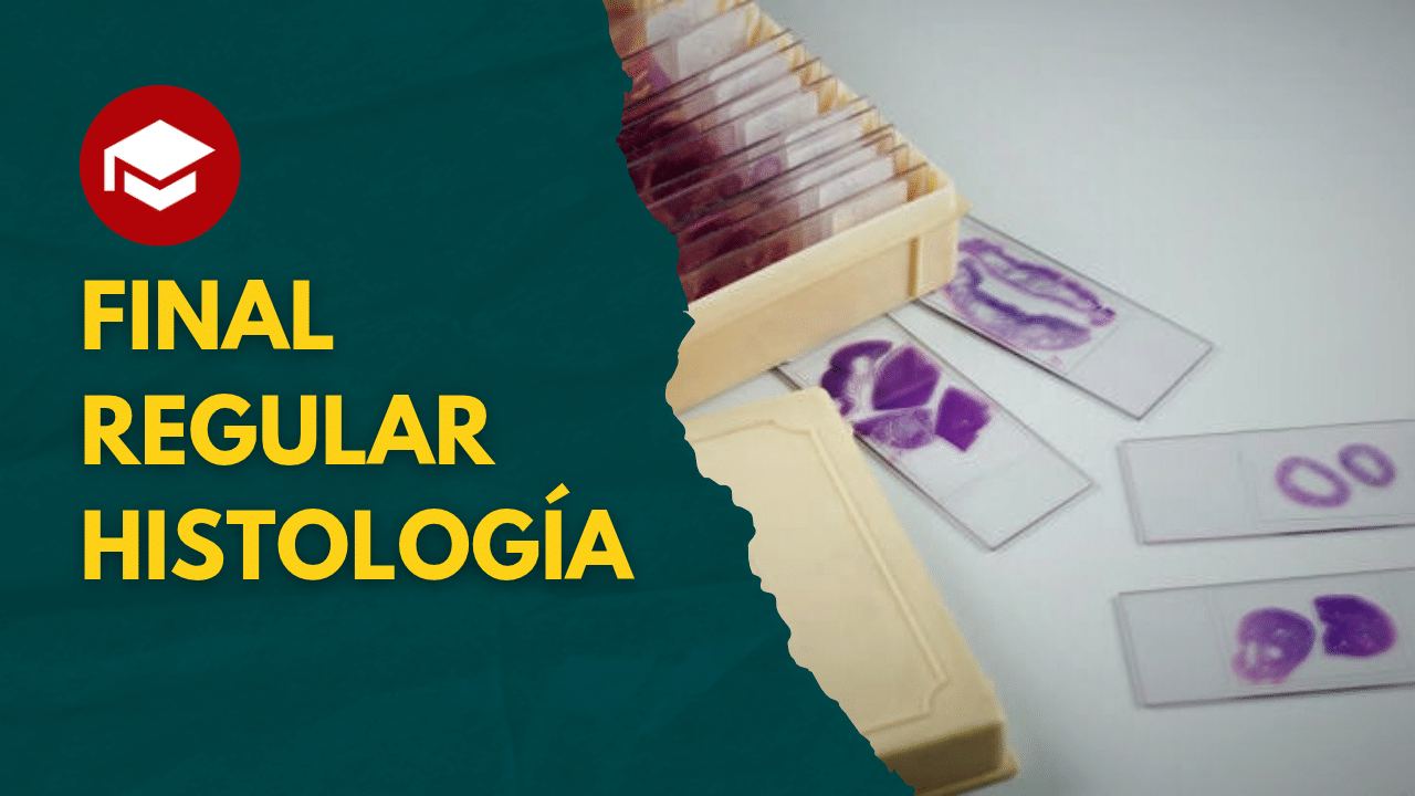 Lee más sobre el artículo Curso FINAL REGULAR de Histología – 12