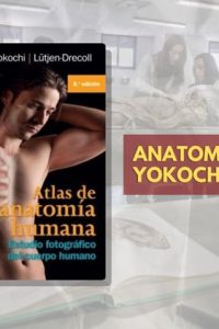 libros-ANATO-YOKOCHI